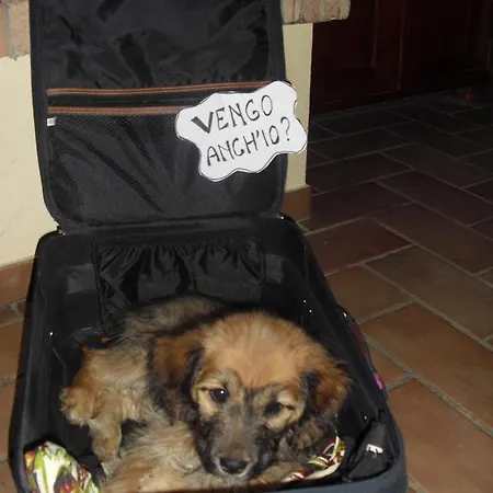 Casa rural San Marco *