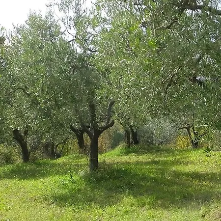San Marco Montefalco