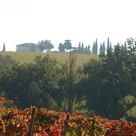 San Marco Montefalco