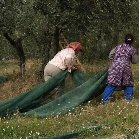 Casa rural San Marco Montefalco
