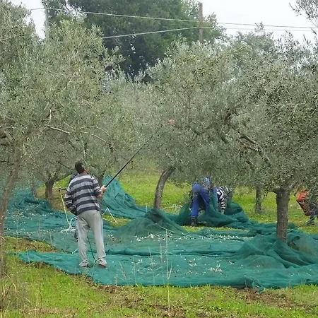 Casa rural San Marco