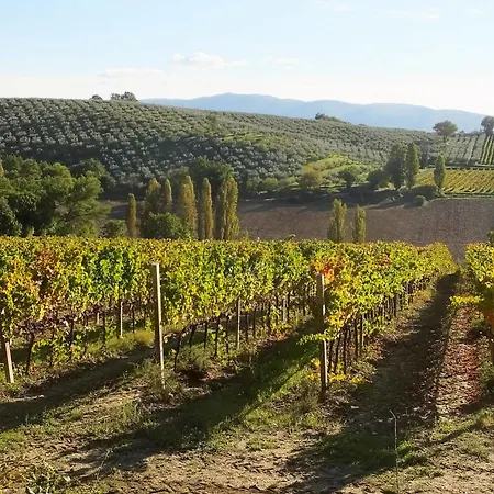 San Marco Montefalco